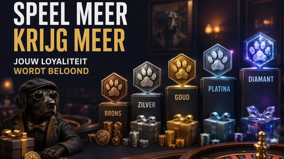 loyaliteitsniveaus van bronze tot diamond met beloningen